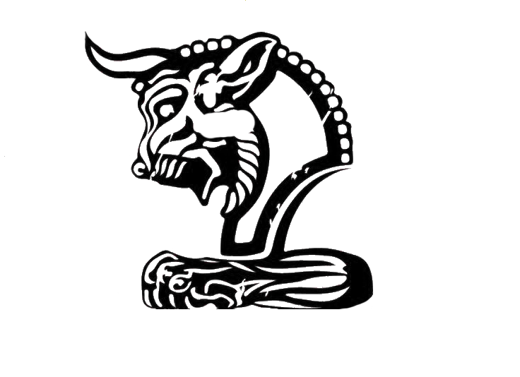 سر-شیر-چپ-سیاه